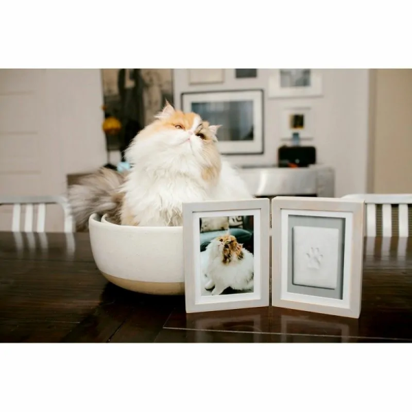 chat assis derrière le double cadre photo avec empreinte de patte chat en plâtre gris pearhead