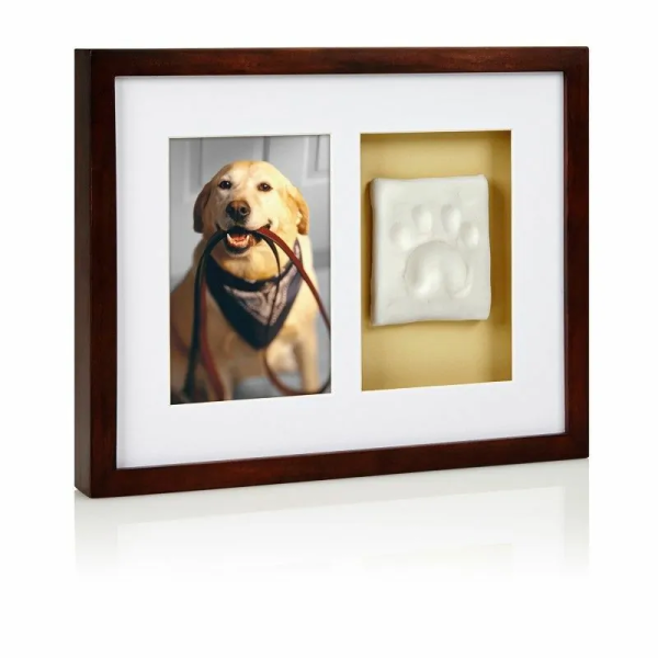 cadre mural photo avec empreinte de patte chien en plâtre Pearhead