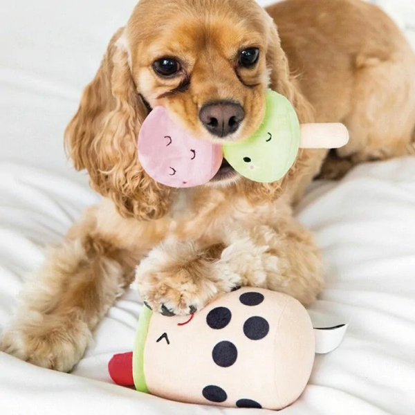 chien qui joue avec le lot de 2 peluches pour chien sonores milkshake pearhead