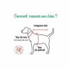 schéma pour bien prendre les mesurations de votre chien