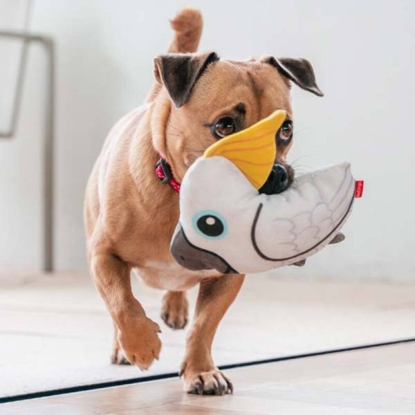chien avec le jouet durable pour chien cacatoes Red Dingo dans la gueule