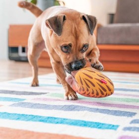 Chien qui joue avec le Jouet durable pour chien échnidé Red Dingo