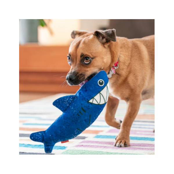 chien jouant avec le Jouet durable pour chien requin Red Dingo