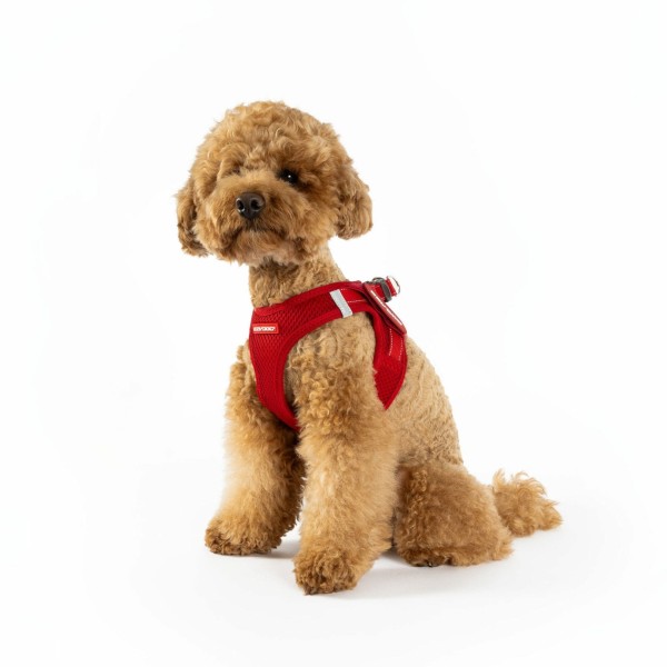 chien assis qui porte le harnais chien rouge mesh formfit ezydog