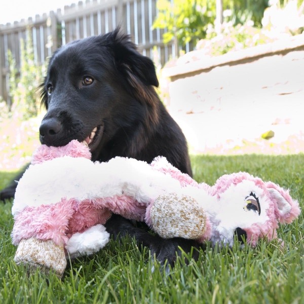 chien allongé dans l'herbe qui machouille la peluche pour chien low stuff flopzie fox kong
