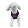 mannequin en mousse avec le harnais chien violet air mesh Doogy de face