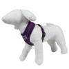 mannequin en mousse avec le harnais chien violet air mesh doogy de profil