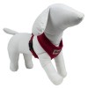 mannequin en mousse avec le harnais pour chien rouge air mesh doogy