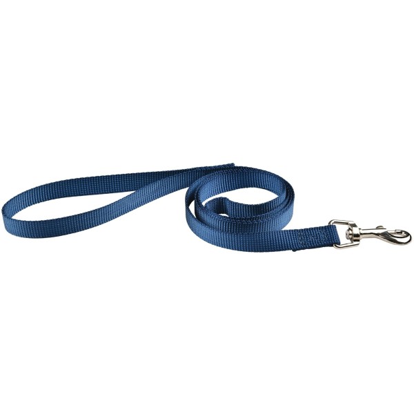 laisse chien bleue air mesh Doogy