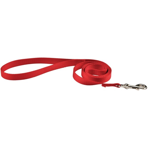 laisse chien rouge air mesh doogy