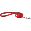 laisse chien rouge air mesh doogy