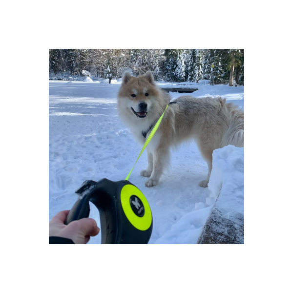 Laisse pour chien rétractable sangle FLUO MARTIN SELLIER