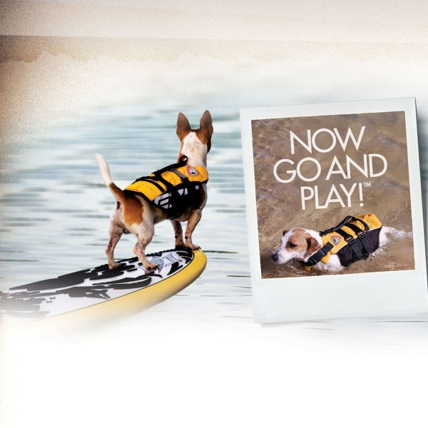 chien sur un paddle sur l'eau avec le gilet de sauvetage pour petit chien jaune micro DFD Ezydog