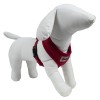 harnais pour chien mesh rouge Doogy sur un mannequin de profil