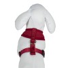 harnais chien air mesh rouge Doogy sur un mannequin de dos