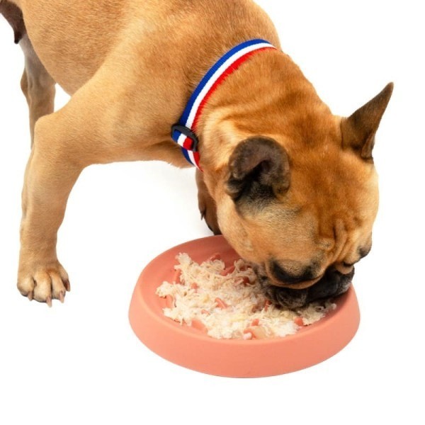 chien qui mange dans la gamelle anti glouton en silicone rose pour chien et chat martin sellier