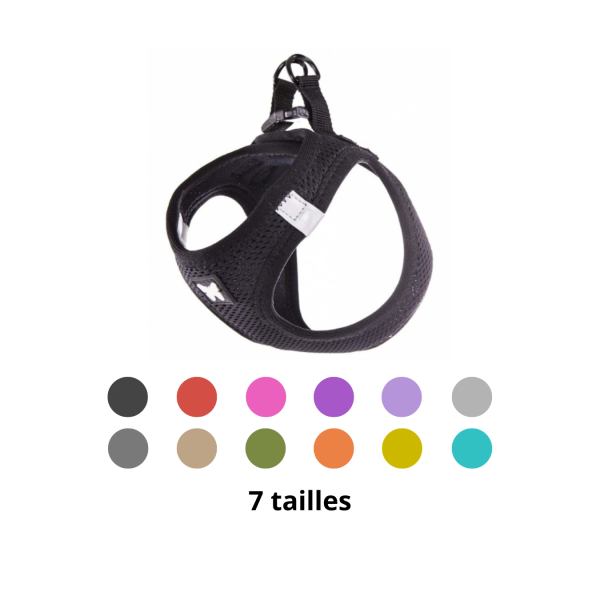 harnais pour chien en mesh respirant martin sellier disponible en différents coloris et tailles