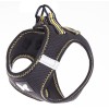 harnais pour chien en mesh trio noir et jaune martin sellier