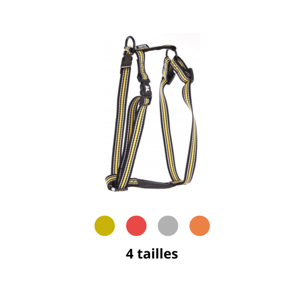 harnais pour chien rayé trio martin sellier disponible en différentes couleurs et tailles
