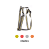 harnais pour chien rayé trio martin sellier disponible en différentes couleurs et tailles