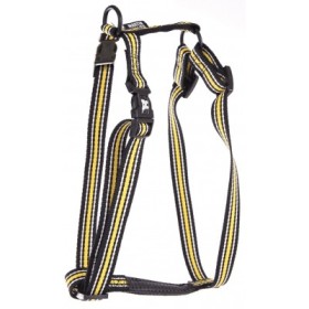 harnais pour chien rayé trio jaune martin sellier