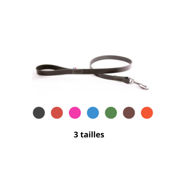 laisse pour chien en cuir collection 499 martin sellier disponible en différents coloris