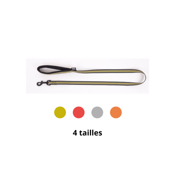 laisse pour chien rayée trio martin sellier disponible en plusieurs couleurs et tailles