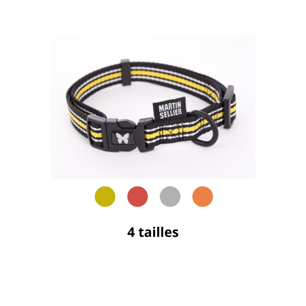 collier pour chien réglable rayé trio martin sellier disponible en plusieurs tailles et coloris