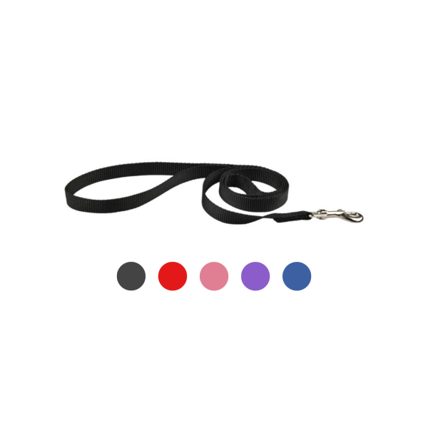 laisse pour chien air mesh Doogy disponible en différentes couleurs