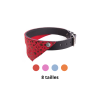 collier pour chien en cuir avec bandana Miami martin sellier disponible en différents coloris et tailles