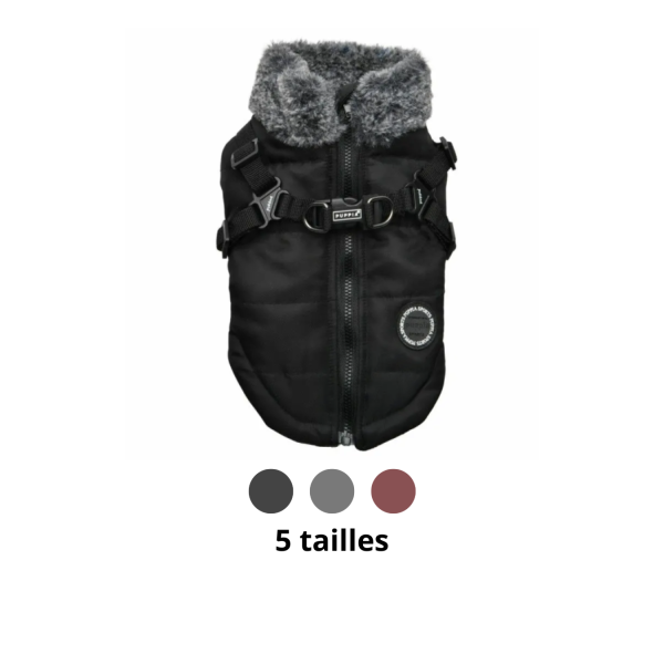 manteau pour chien avec harnais intégré donavan puppia disponible en plusieurs tailles et couleurs