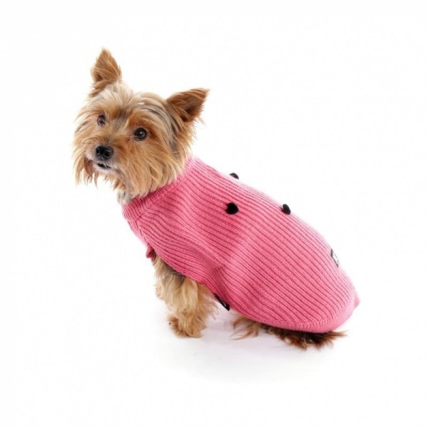chien assis qui porte le Pull pour chien coeur martin sellier de couleur rose