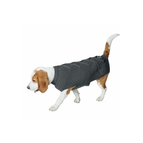chien qui marche avec le pull pour chien gris malmo hunter
