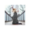 chien assis de dos qui porte le pull pour chien gris malmo hunter