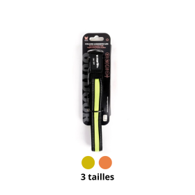 collier pour chien lumineux USB en nylon martin sellier disponible en différentes couleurs et tailles