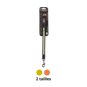 laisse pour chien lulineuse usb rallonge en nylon martin sellier disponible en différents coloris et tailles
