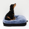 chien assis sur le coussin double collection doudouzen martin sellier bleu