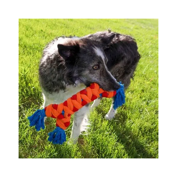 chien avec le jouet rope rally bone kong dans la gueule