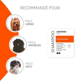 recommandations du shampooing pour chien hydratant Artero