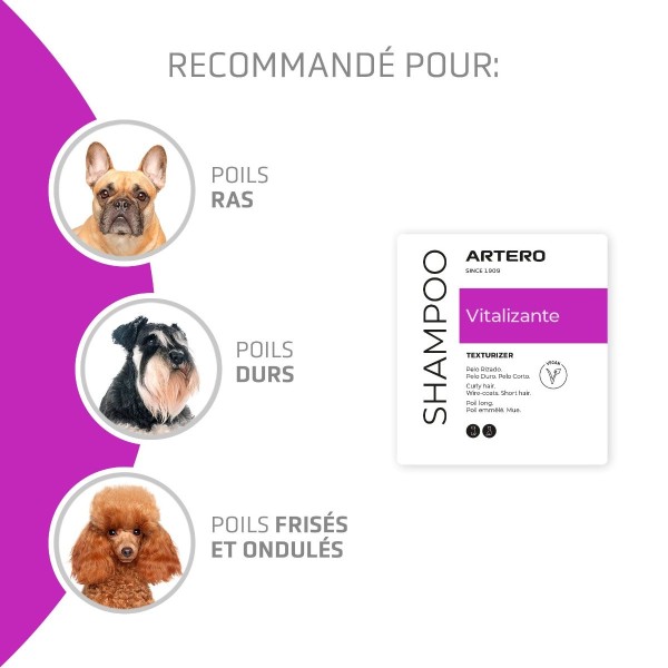 recommandations du shampooing pour chien revitalisant Artero