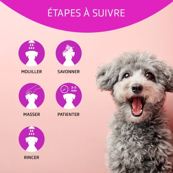 Conseils d'utilisation shampooing pour chien revitalisant Artero