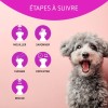 Conseils d'utilisation shampooing pour chien revitalisant Artero
