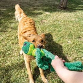 Humain qui jouet à un jeu de traction avec son chien et la peluche Knots Frog KONG
