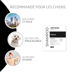 recommandations du shampooing pour chien anti-pollution détox artero