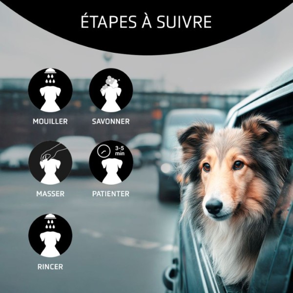 conseils d'utilisation du shampooing pour chien anti-pollution détox artero