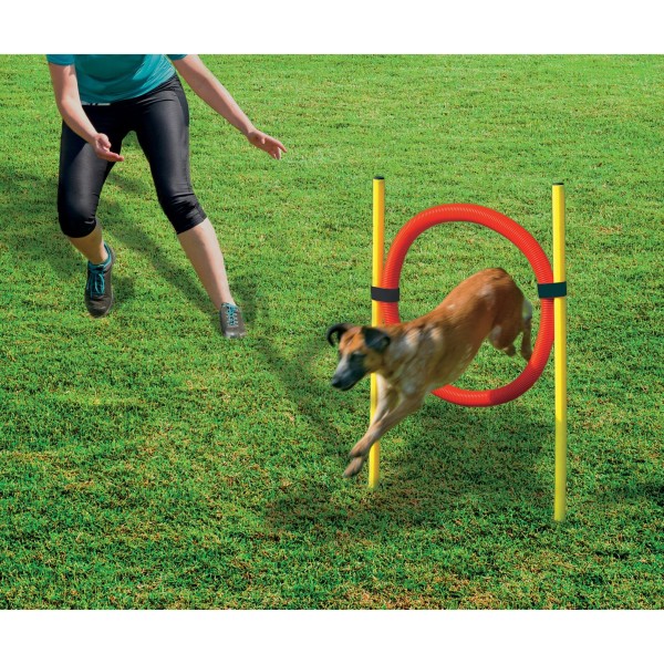Agility Hoop Set pour chien Beeztees
