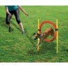 Agility Hoop Set pour chien Beeztees