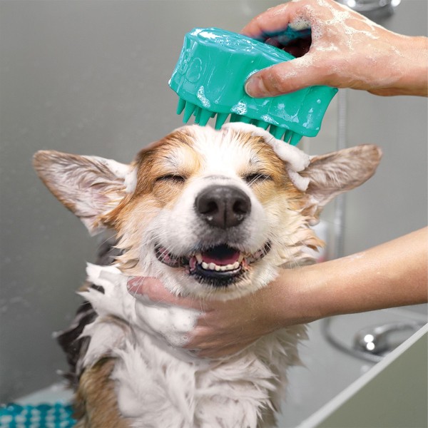 personne qui shampooiner son chien avec le zoomgroom Bubbles KONG