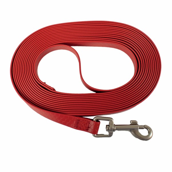 Longe pour chien Training rouge Doogy