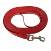Longe pour chien Training rouge Doogy